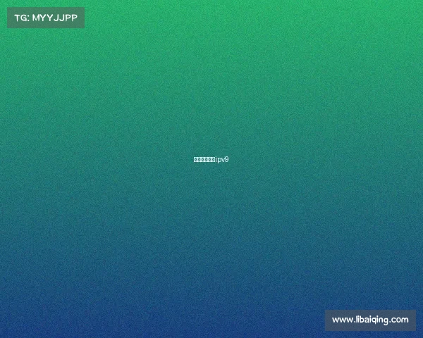 中国自主网络ipv9